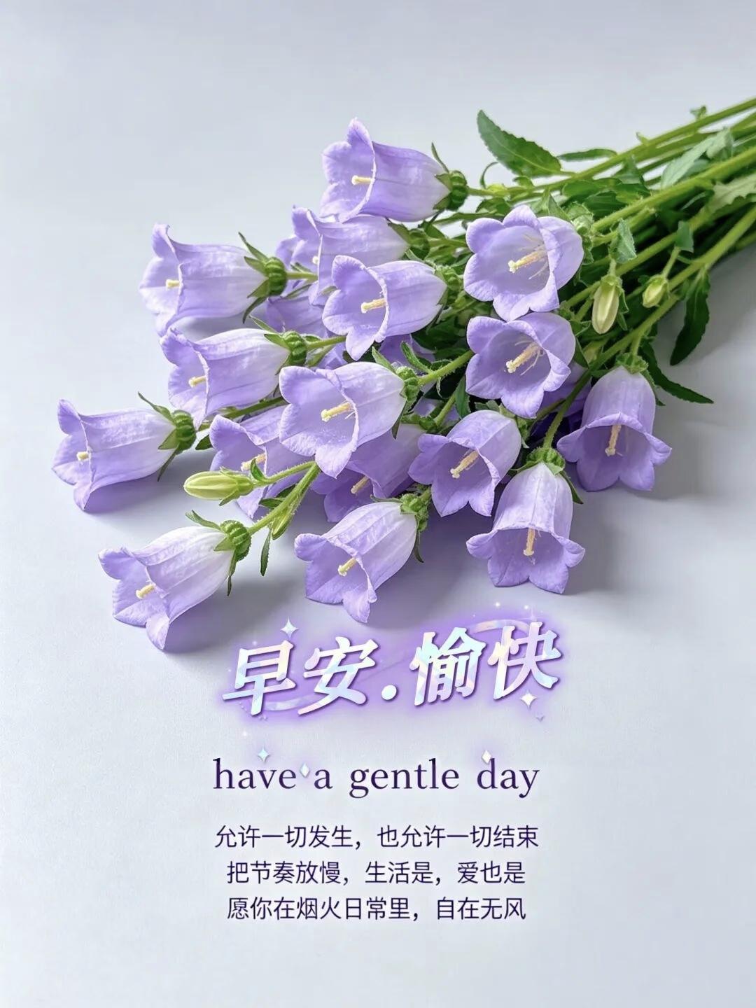 🌷早安｜好好生活，慢慢发光1. 风会偏爱向阳而生的人✨别急，慢慢沉淀，你奔