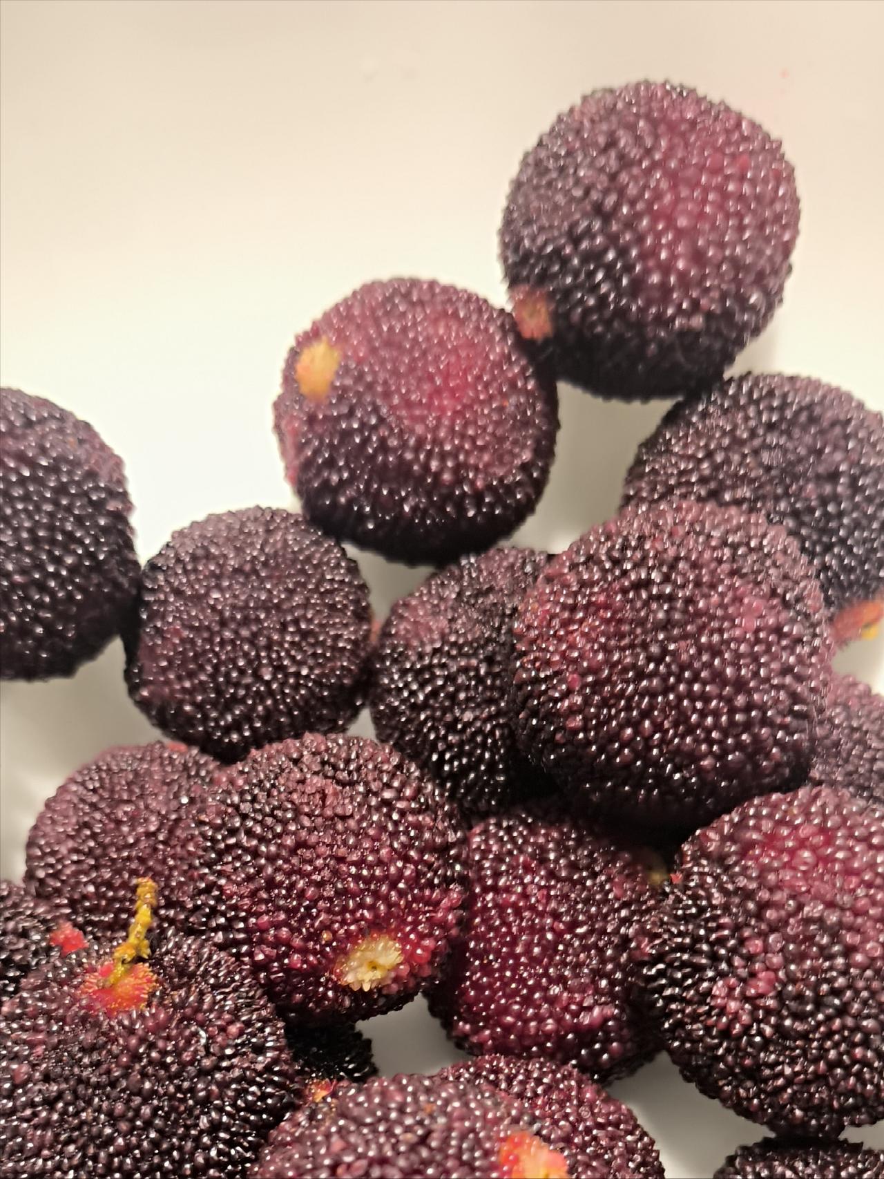 二姑是漳州龙海浮宫镇种植杨梅的果农，家里的山都是杨梅树，今年杨梅果实长得很好，今