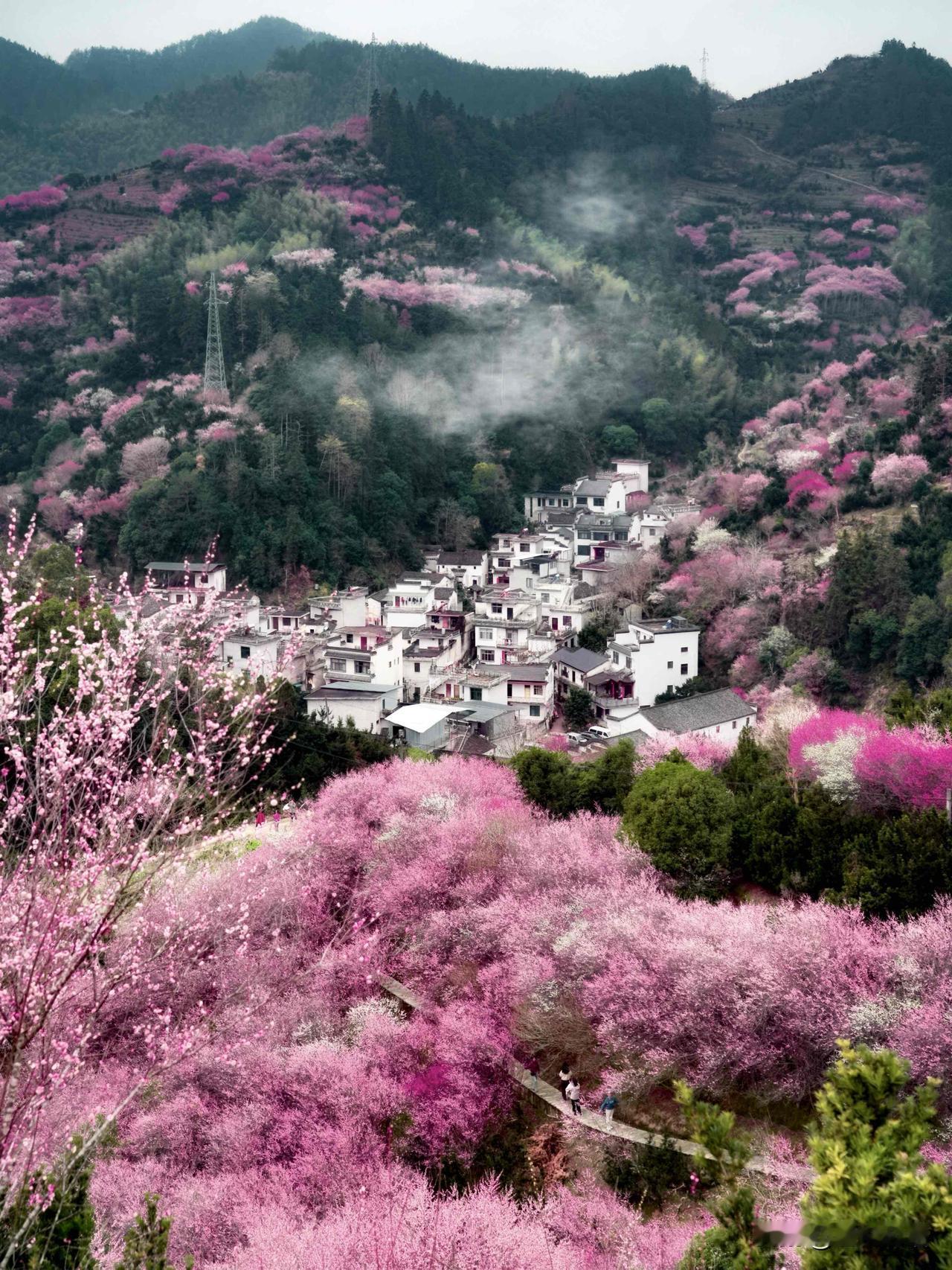 下个月的徽州把《桃花源记》照进现实！卖花渔村真的太有灵气了，不打鱼只养花，二
