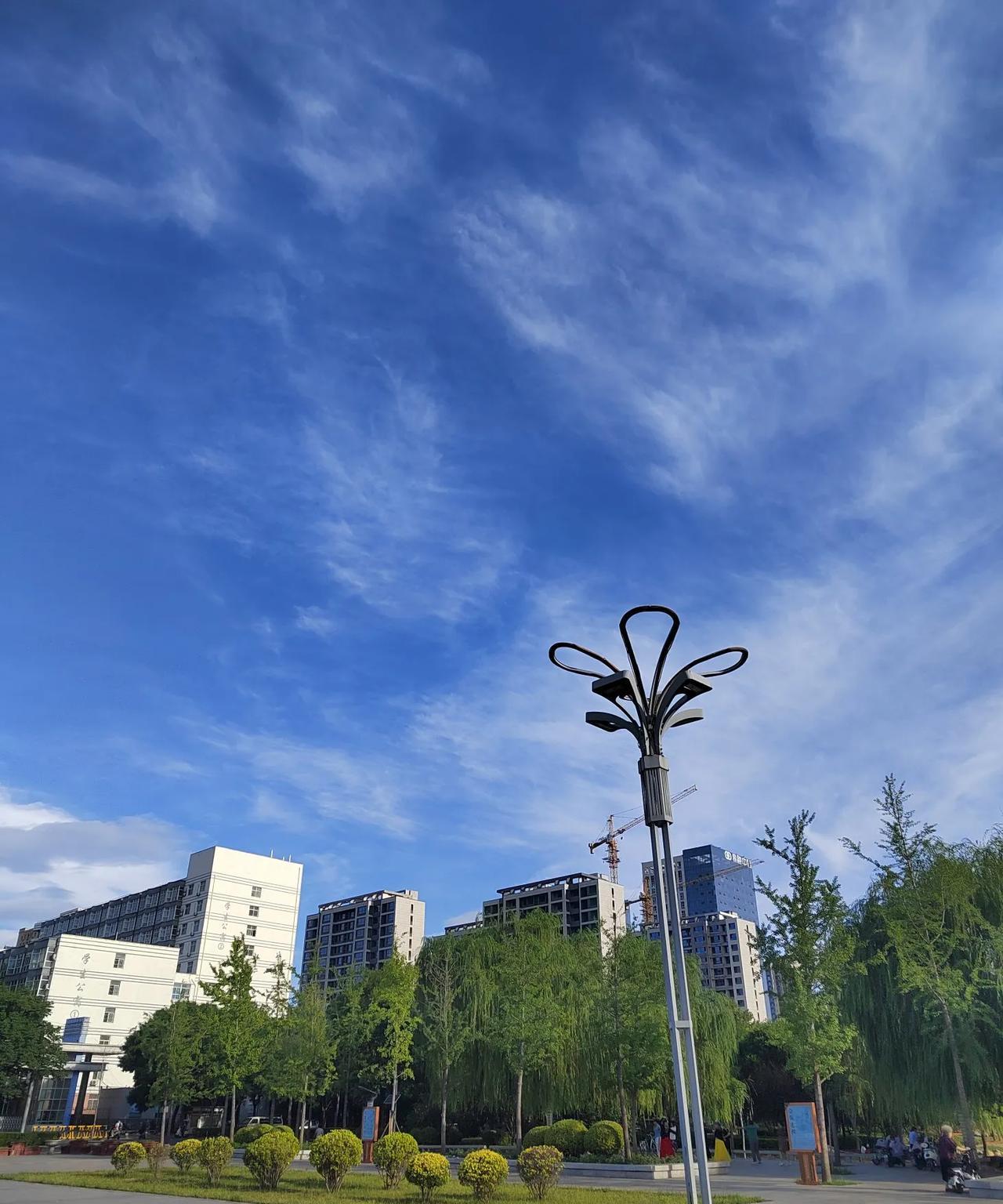 我后悔延迟退休了。我是女的县城小学教师，副高职称，去年一月份60周岁退休。