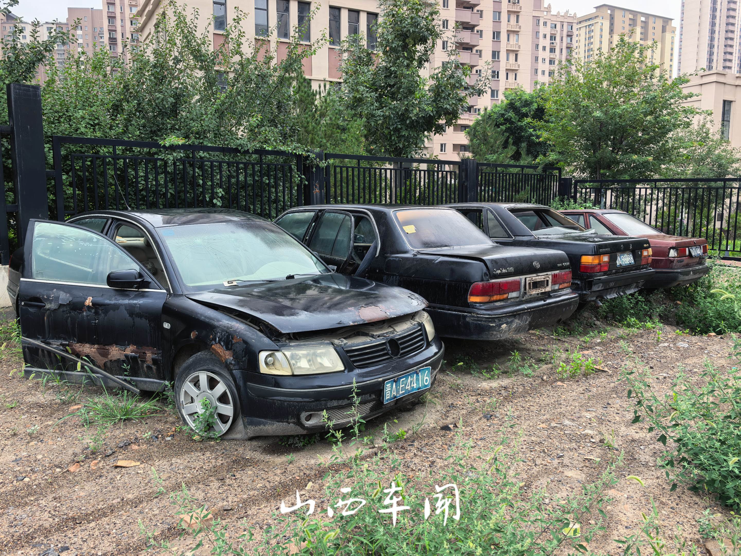 没想到最后陪伴他们的不是主人，而是一只咪。