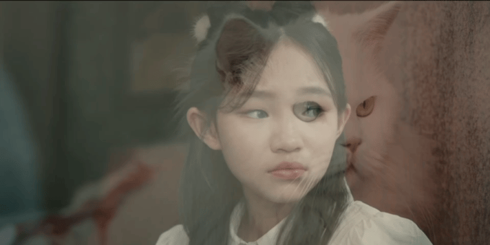 灵魂摆渡为猫咪演技正名📖编剧小吉祥天妥妥资深猫奴实锤，偏爱猫咪才量身打造福神篇