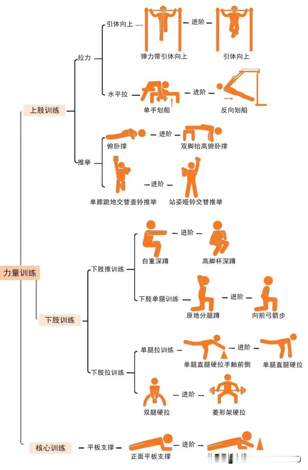 不错的力量训练图