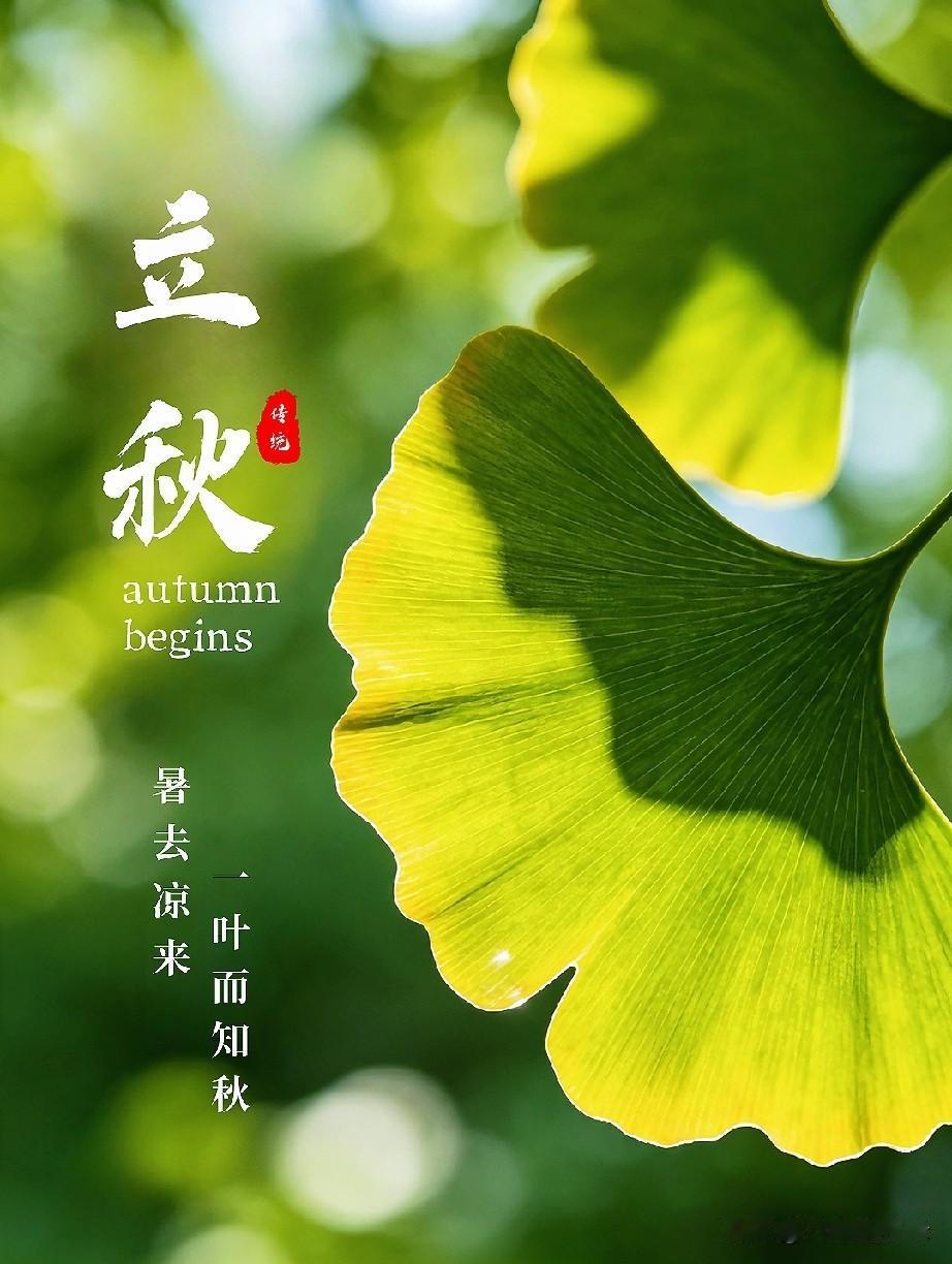 夏尽秋来，风渐微凉。不必追赶落日，静候银杏泛黄，静待万事丰收。我们总习惯追赶