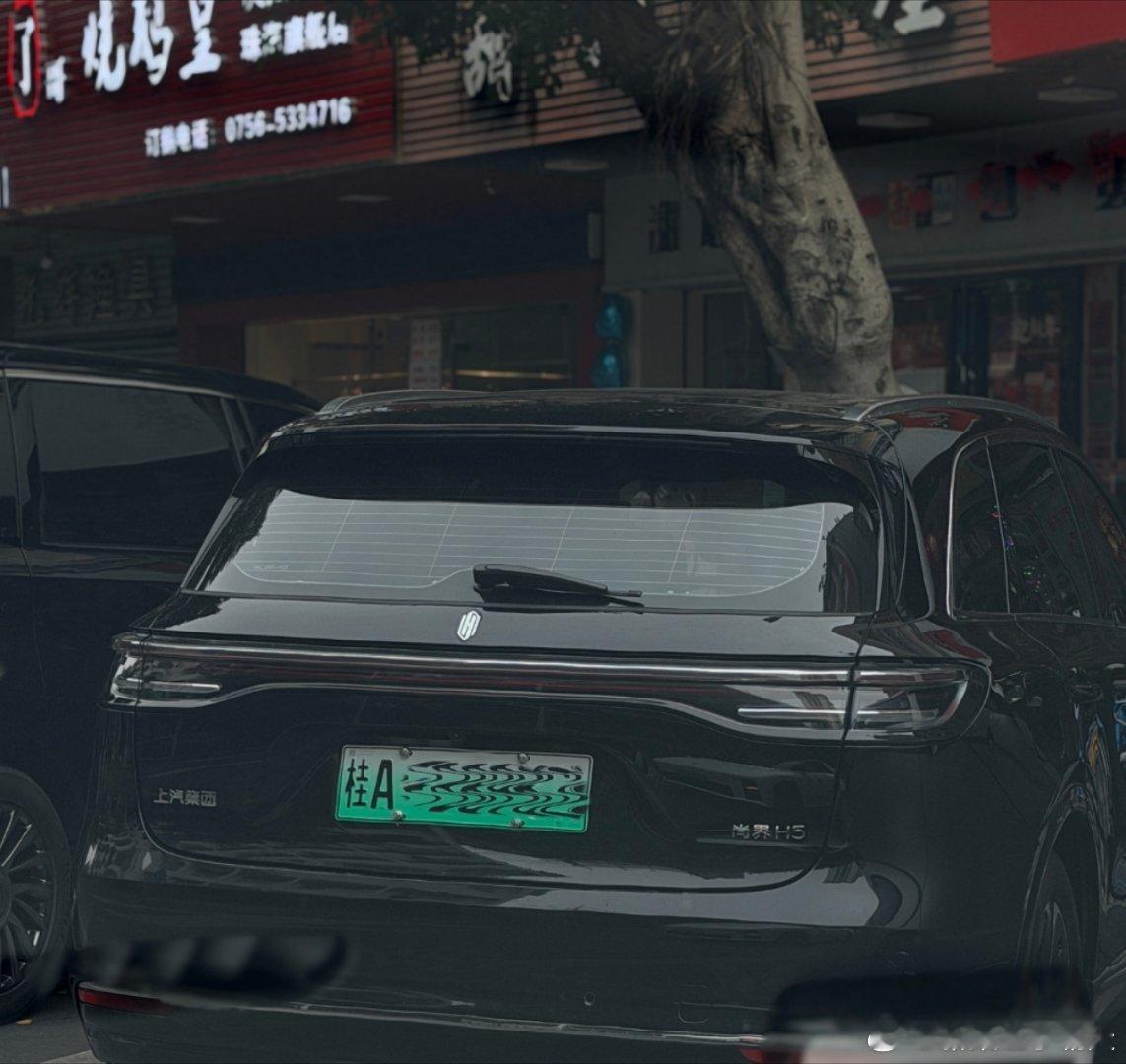 在珠海偶遇一辆广西南宁的尚界H5~开600多公里来玩，也是挺享受生活的你们春节有