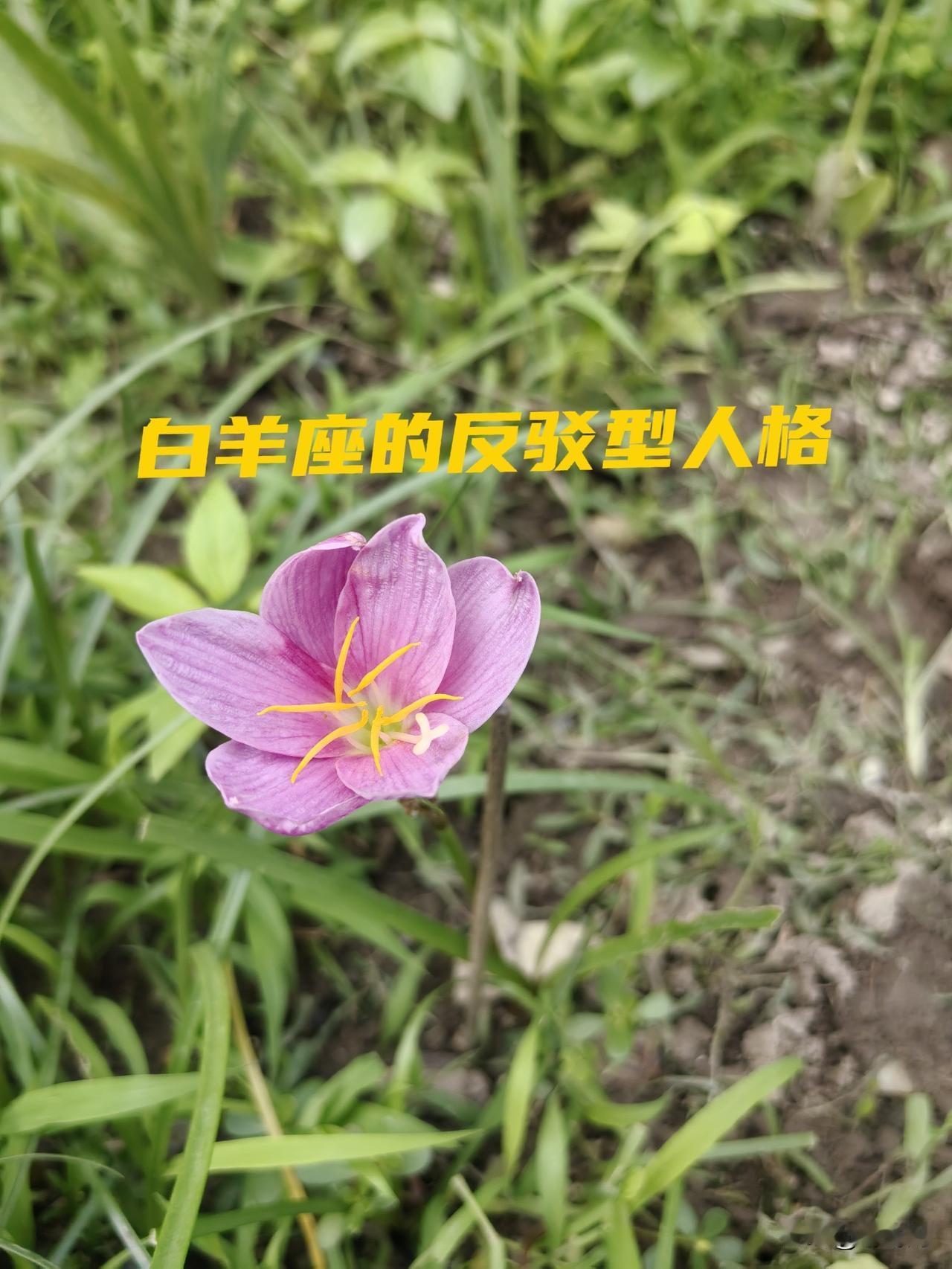 白羊座的特性有的时候在网上发一点小牢骚，粉丝们当个看客乐一乐就行了，不要那么较
