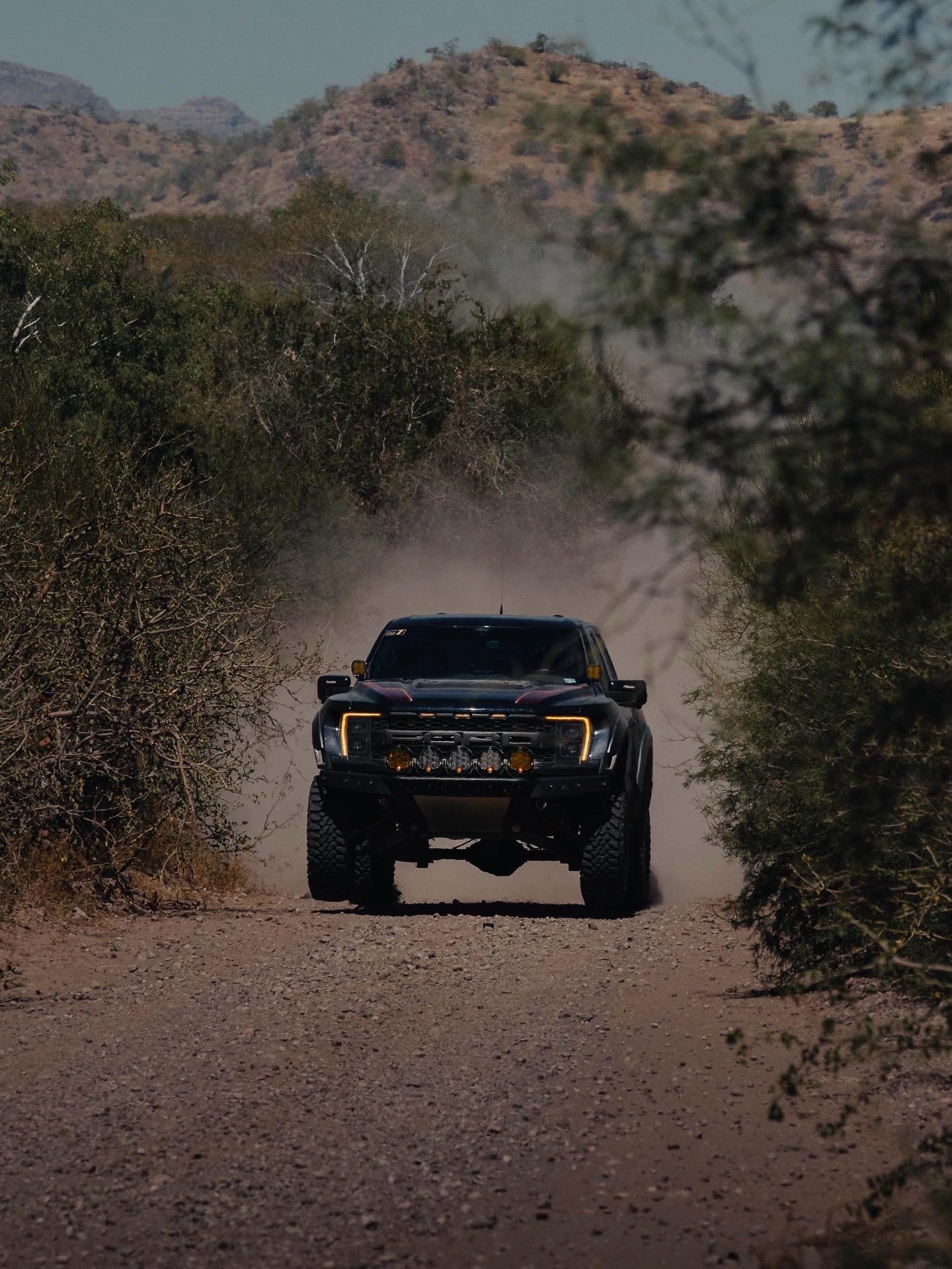 好久没更新猛禽了，你们是不是已经把我忘了？