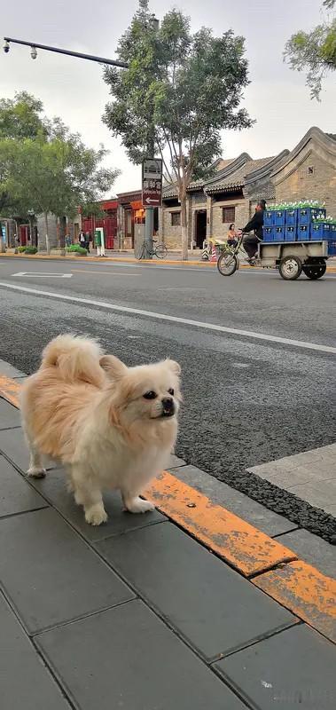 哈哈，四块老婆饼面前的“立场”都说北京人爱憎分明，眼里揉不得沙子。前阵子