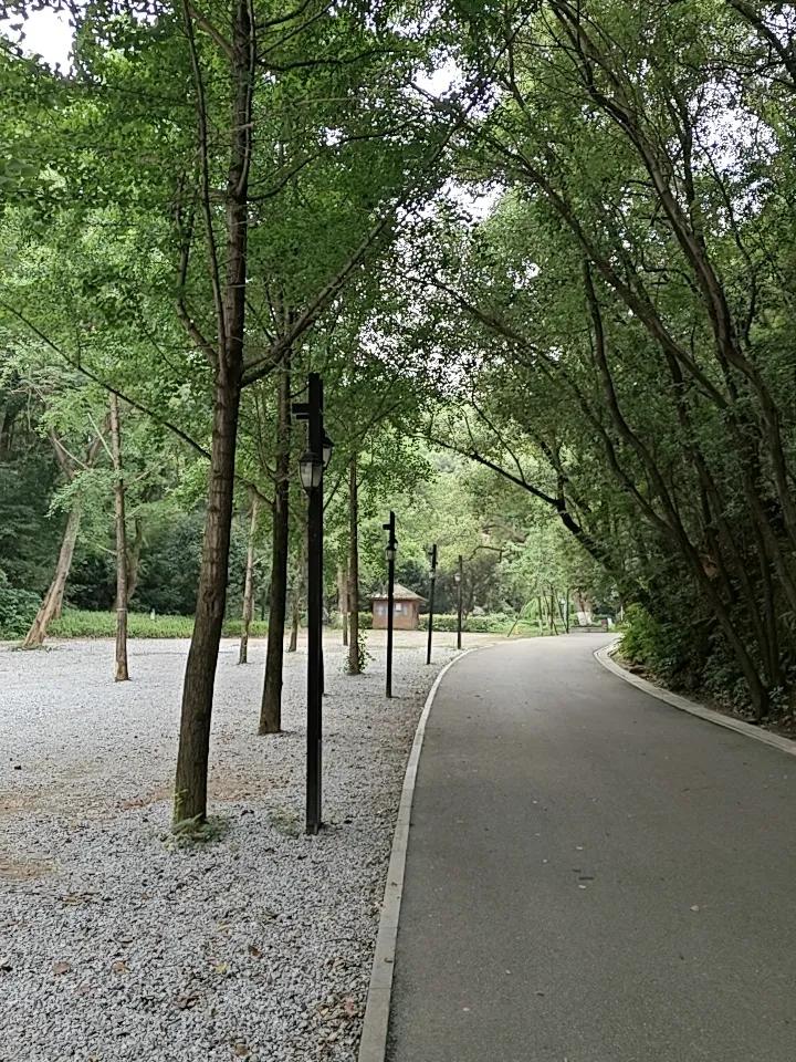 规范景区摆渡车，让旅游消费更透明安心如今绝大多数大型景区，都配套设置了观光摆