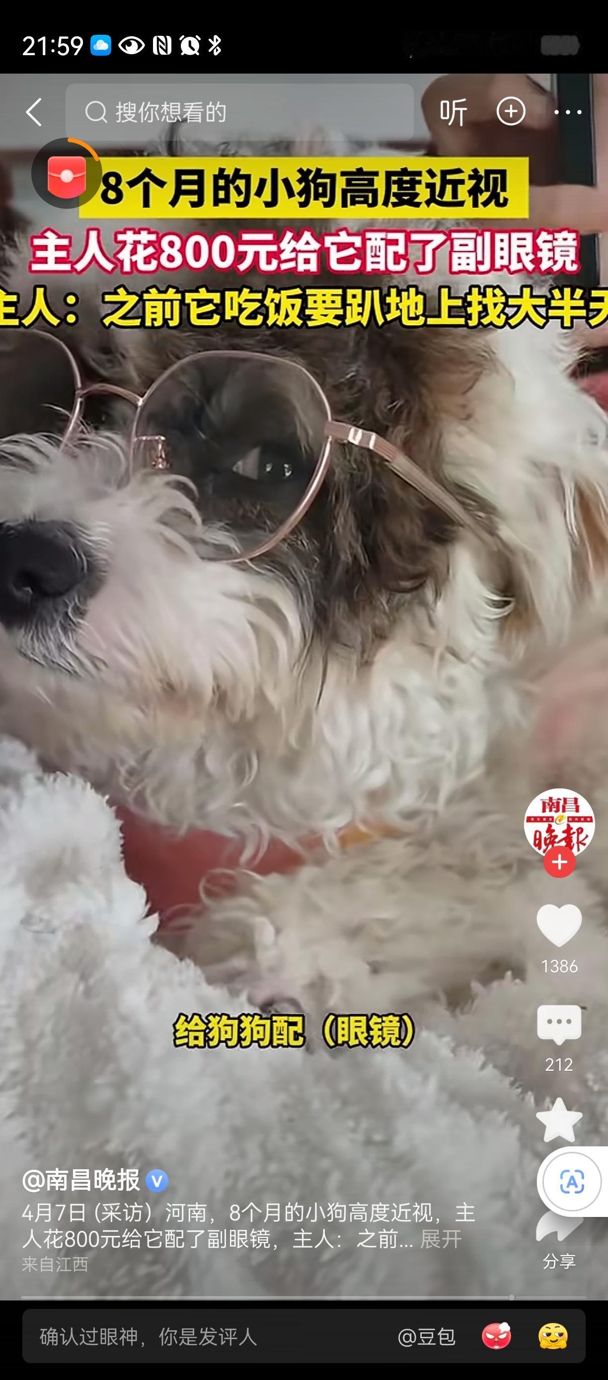 人不如狗人生就是磨难，你认可吗狗都可以轻轻松松八百块眼睛，吃的狗粮也贵，