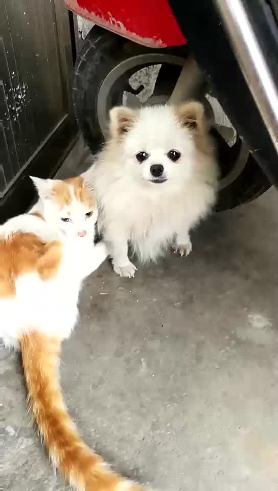 694716210417668151.jpg?id=0