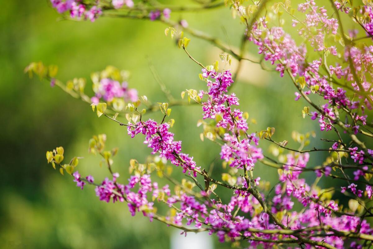 花谢了，就别再惋惜了，再惋惜，也不是原来的娇艳了；人散了，就别再挽留了，再挽留，