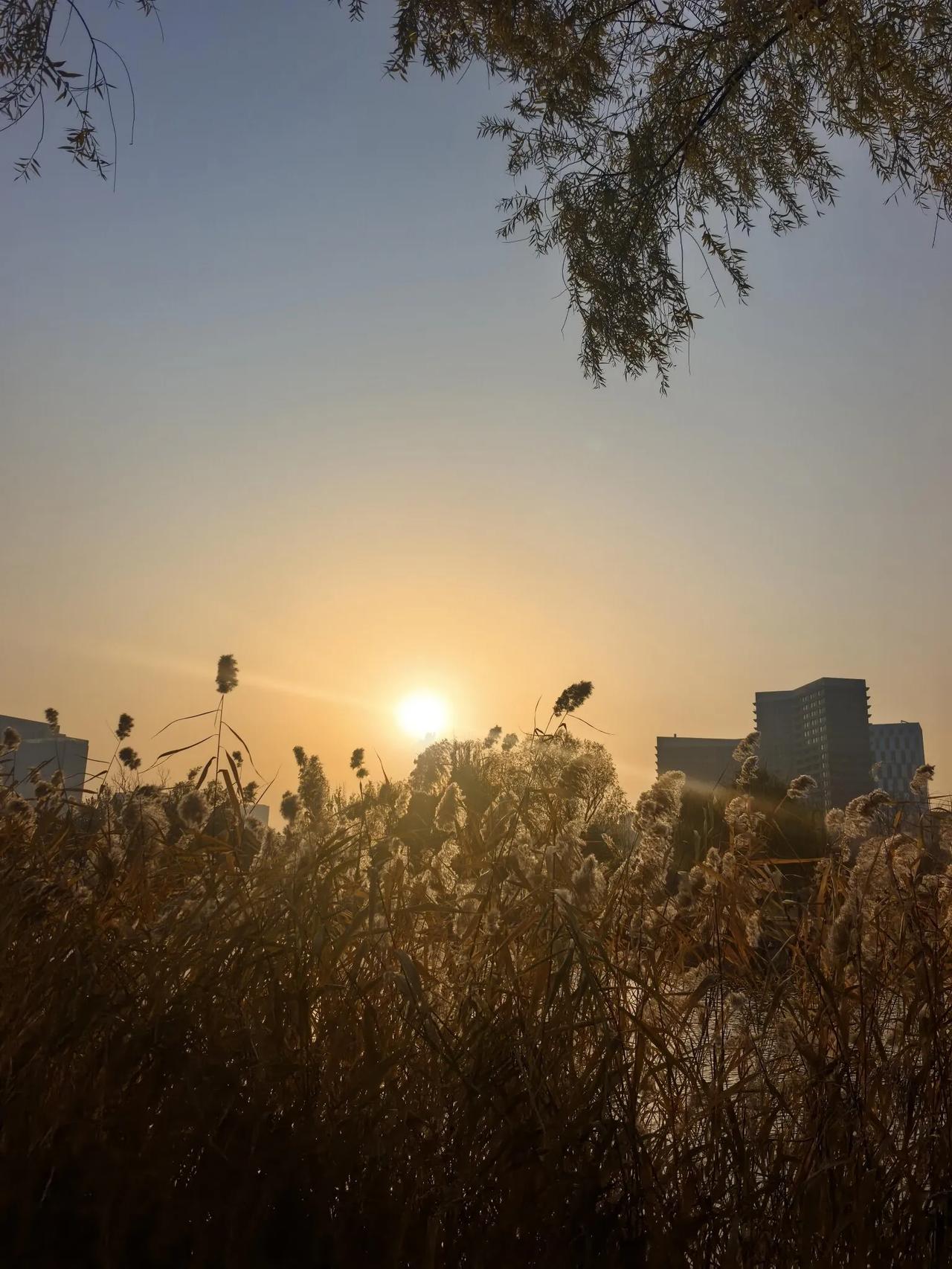 电梯里不小心听到了房价，破大防下班到家，开开心心准备去上瑜伽课，结果电梯里两个
