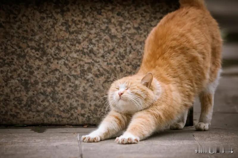 上班要有的心眼，少走5年弯路！1.别啥话都往外倒，同事问“领导是不是对你有