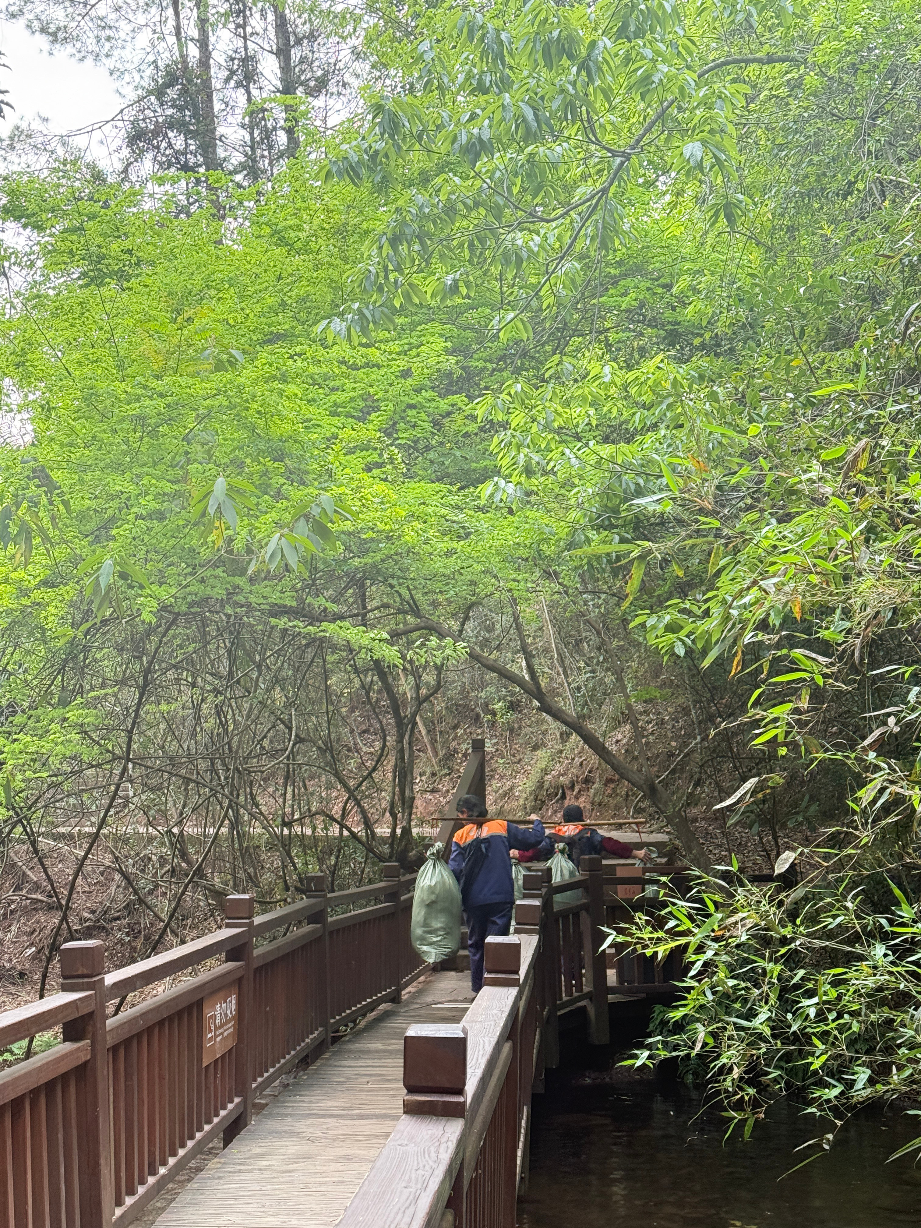 昨天在观寨山，感觉还挺干净的，虽然也看到垃圾了，但基本上都是围栏以外捡不到的地方