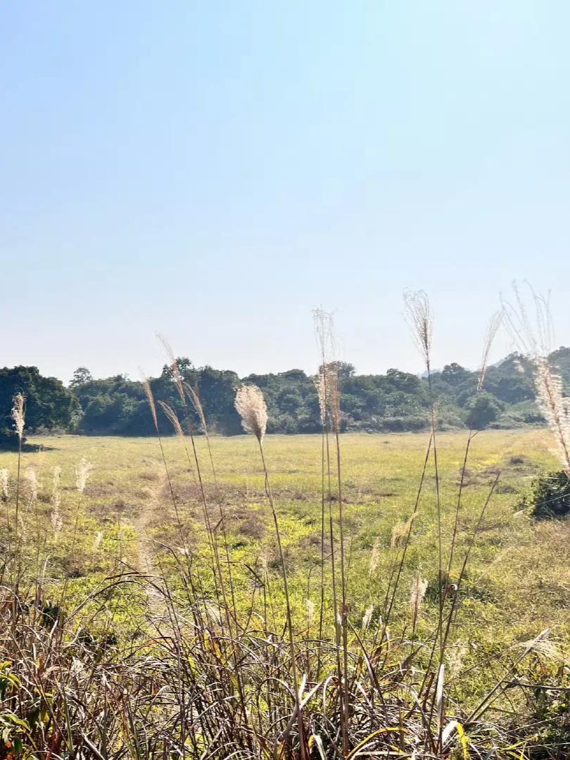 鹤山风景区打卡点｜登峰造极·问鼎昆仑登山介绍鹤山昆仑山是皂幕山支脉，海拔6