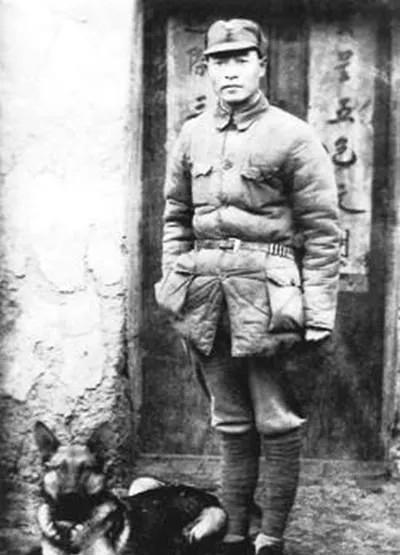 1939年，游击支队穷得只剩3块钱，为度过难关，彭雪枫忍痛卖掉了13匹战马，谁知