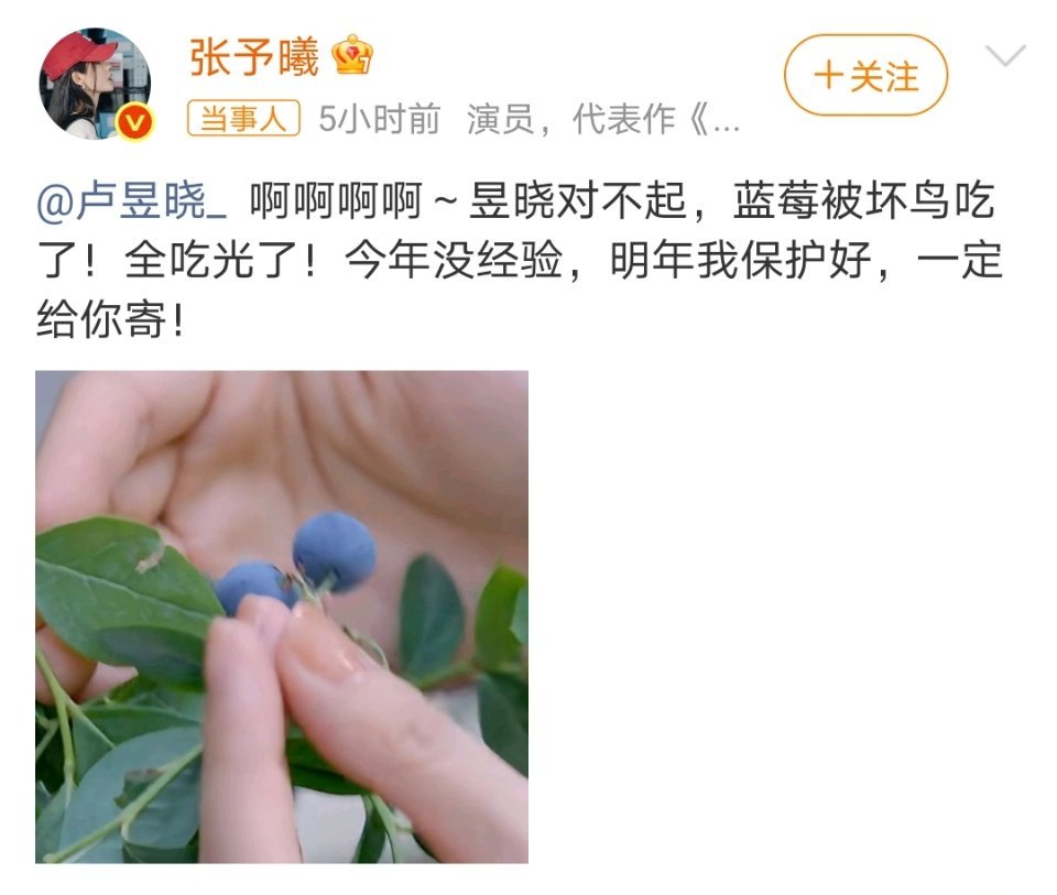 张予曦卢昱晓对不起两位都好可爱​​​