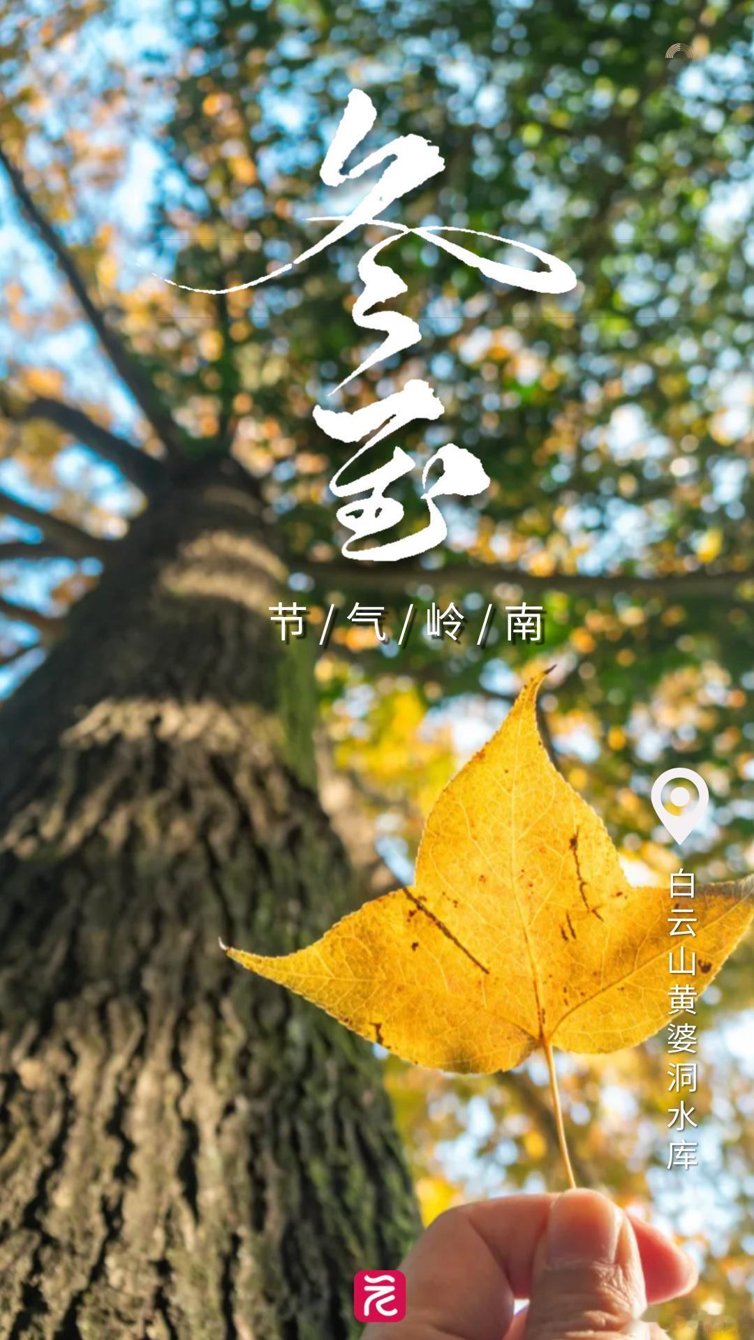 今日冬至，广东人的冬至，真系“大过年”。冬至到，年味近，愿你今日顺顺利利，日日都