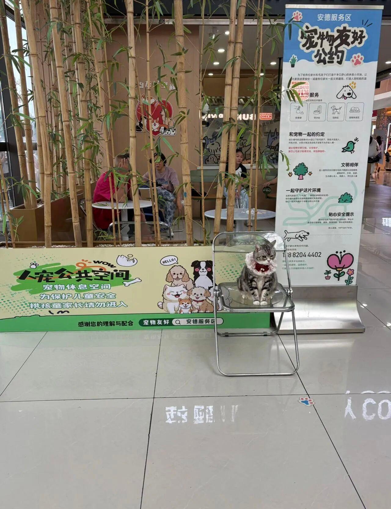 川西自驾狗子的快乐中转站携宠四川高速出行的小确幸以前带狗去川西，高速休整总是很为