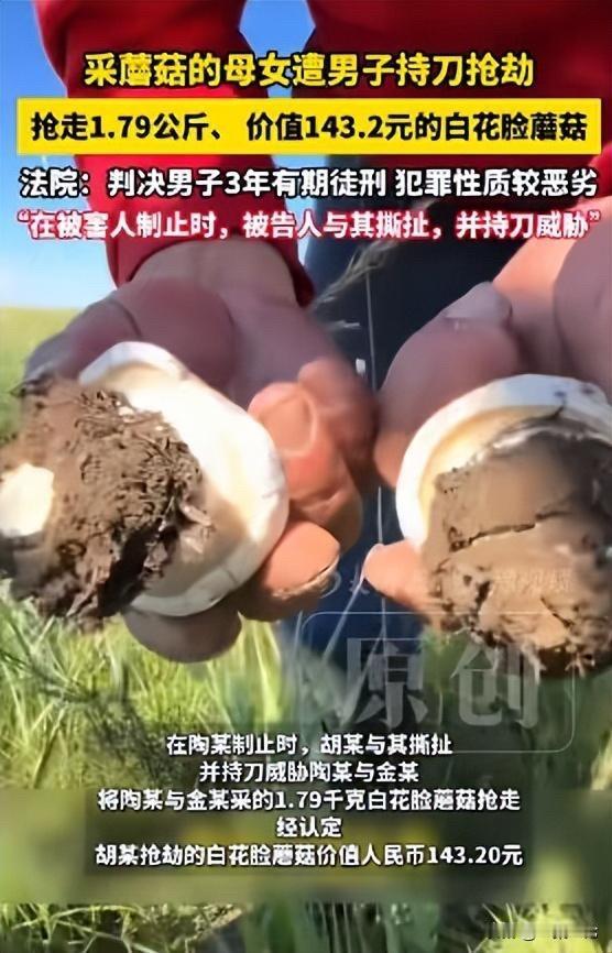 冤不冤？内蒙古呼伦贝尔，女子带着孩子去村附近草场上，采了1.79公斤蘑菇，价值1