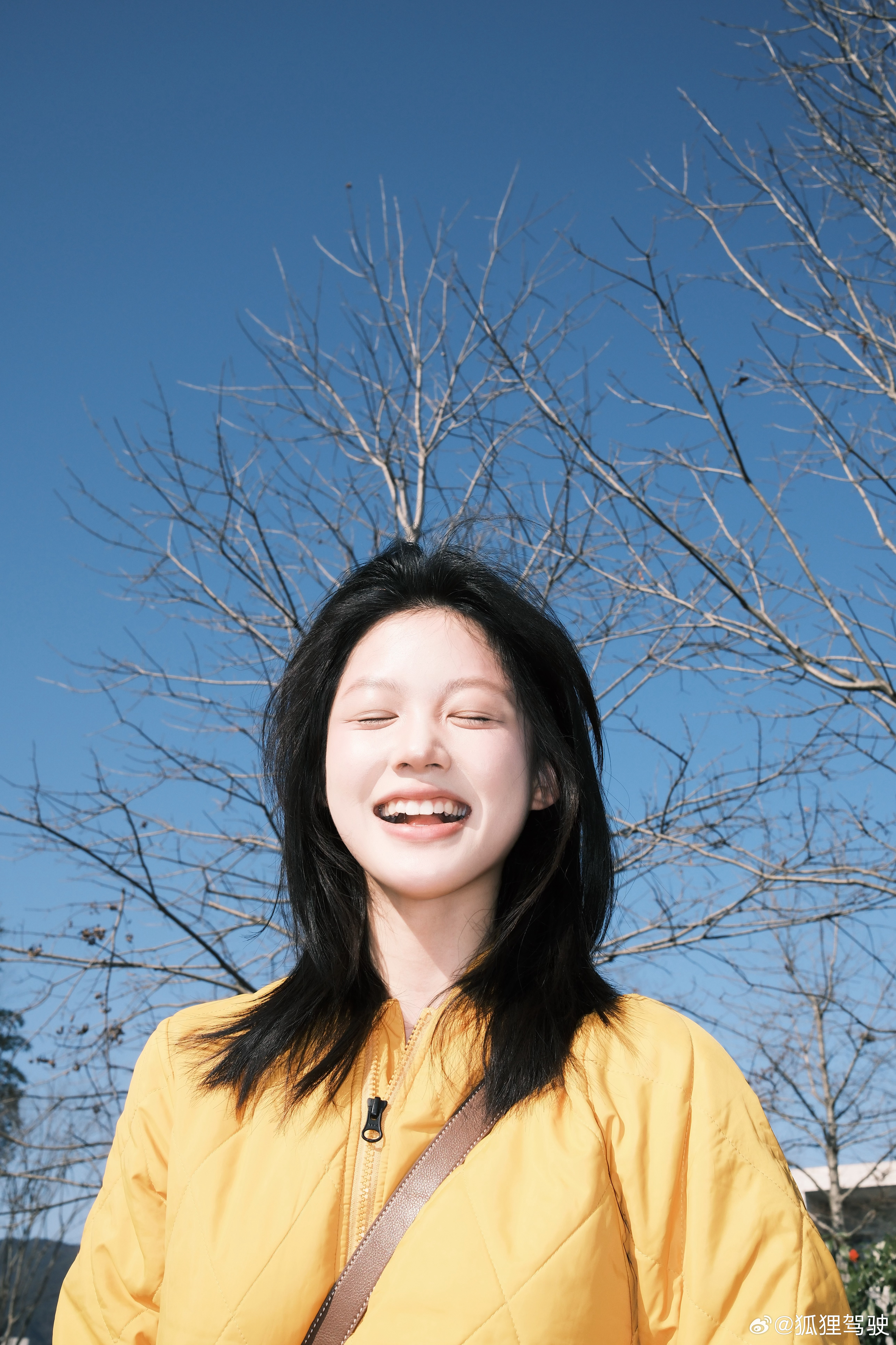 养猫养狗这些太低级了现在我闭上眼就可以养神