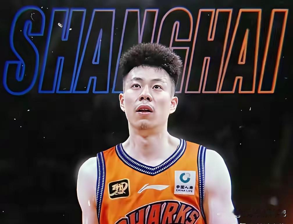 数据越来越全面，卢伟找到了张镇麟的使用说明书。大家有没有发现，张镇麟离开辽宁加