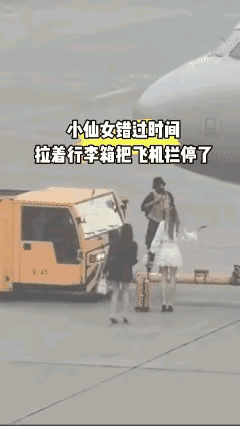 小仙女别追了，飞机上是不可能停的