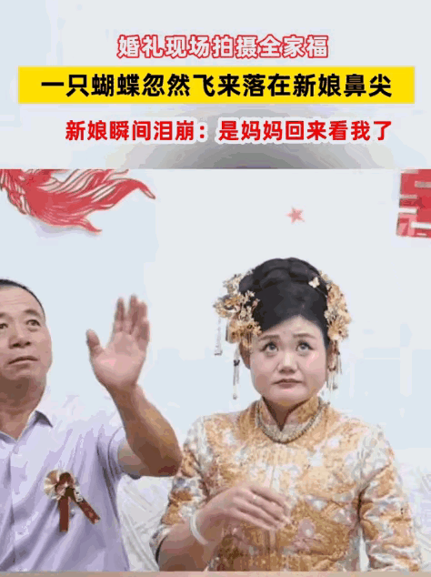这一幕，连科学都解释不了！山东，婚礼当天，新娘出门前正和爸爸拍合照。突然，一只蝴