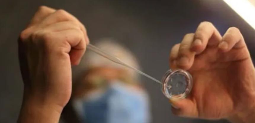 "人工授精的孩子我不要！"28岁男子无法生育，便与妻子商量，从精子库借精生子！这