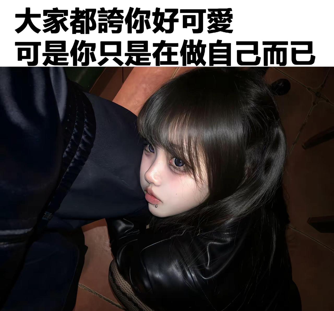 whatcanisay.meme梗图实用冷知识萌宠