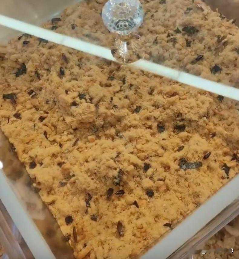长沙49名路人被索赔686万背后：道德绑架救不了良心，法律不该为冷漠买单·清
