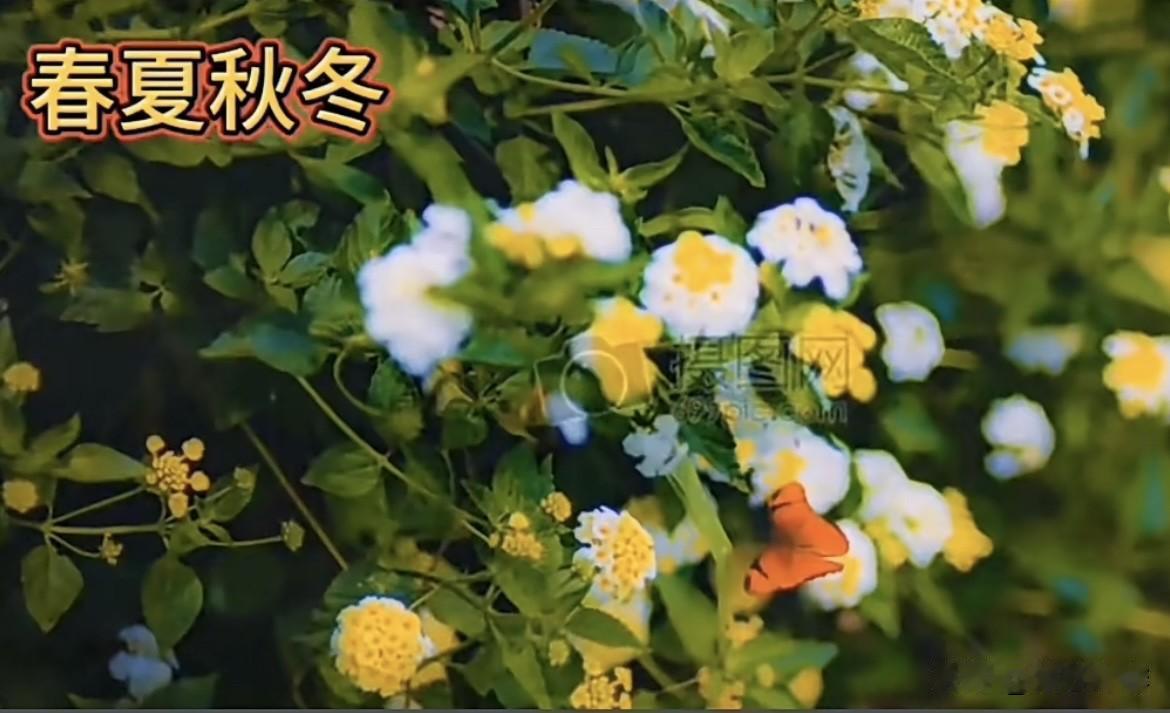 上联：踏春夏秋冬路下联：尝酸甜苦辣汤行东南