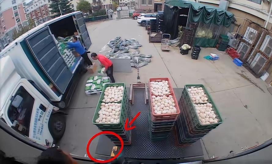 “活该她发财！”11月8日报道，山东威海，一男子第一天上班，搬运鸡蛋时按错了按钮