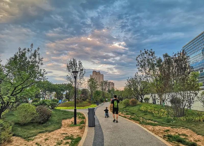 年底遛弯好去处年底遛弯好去处，我首推成都的白鹭湾湿地公园和成华区的桂林公园。