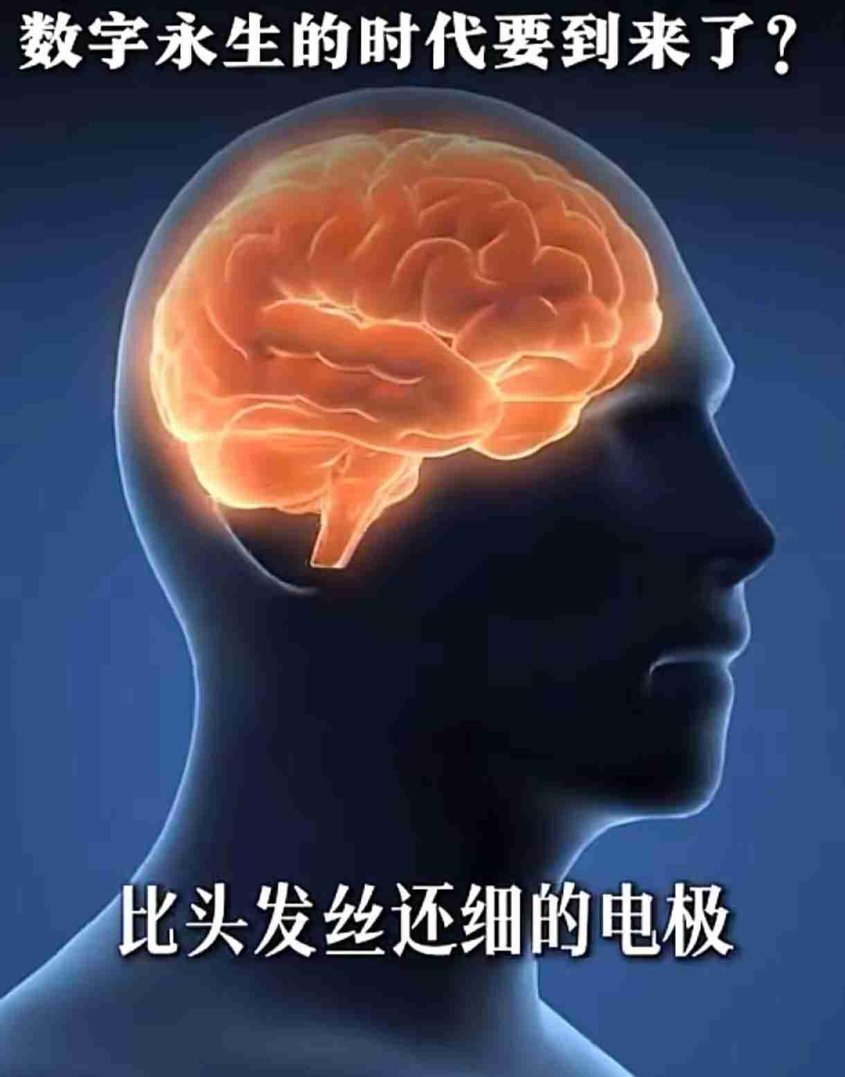 马斯克的脑机接口要量产的消息一出来，不少人心里都打了个寒颤。说真的，把芯片