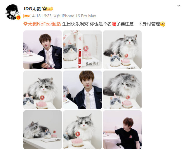 无畏的微博快成猫猫日记了无畏的微博快成猫猫日记了呀！也是个爱猫人士的​​​