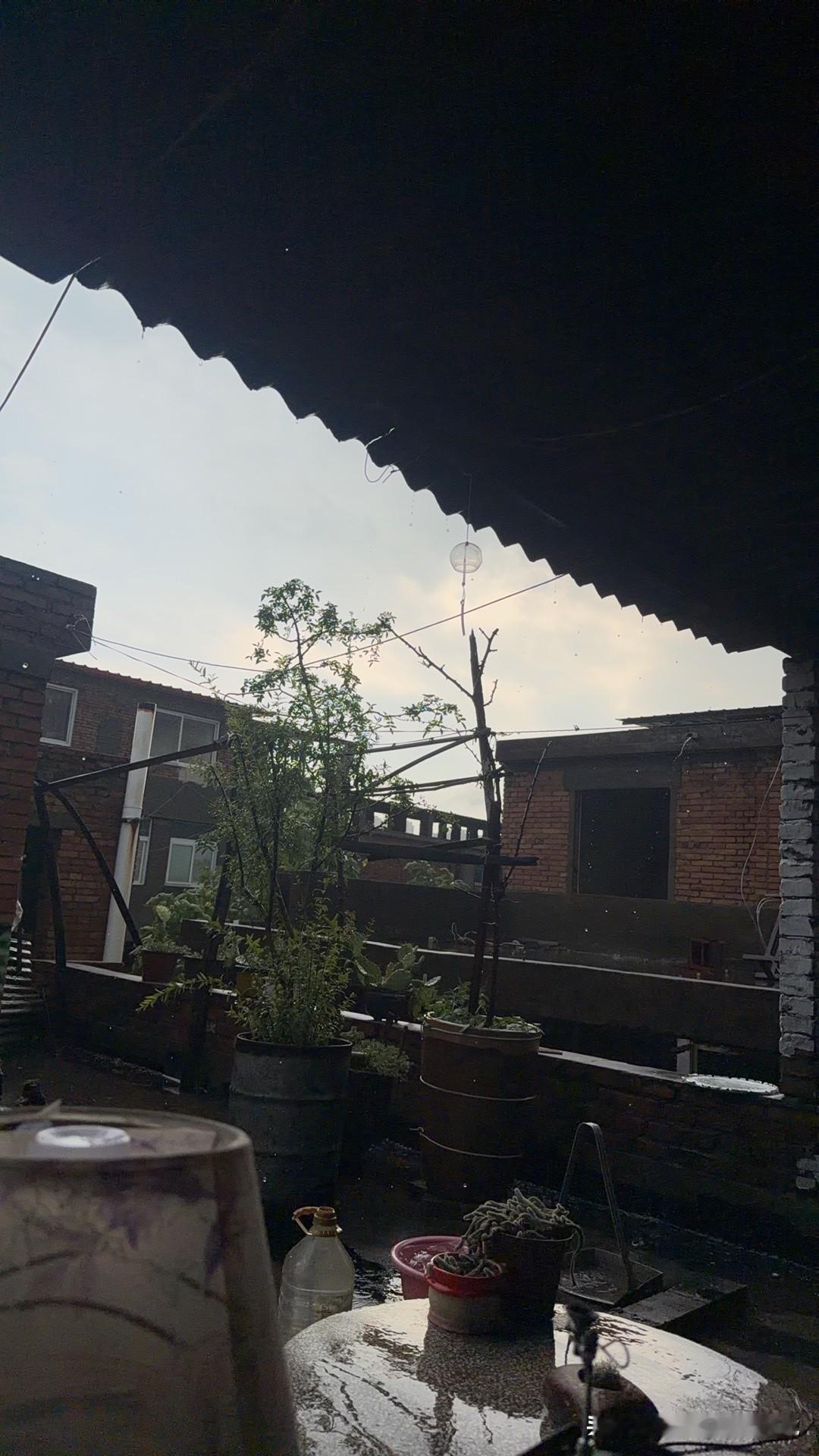 一会一变的，洛阳的天终于迎来了一场大雨！让这个夏天增添了一点凉爽