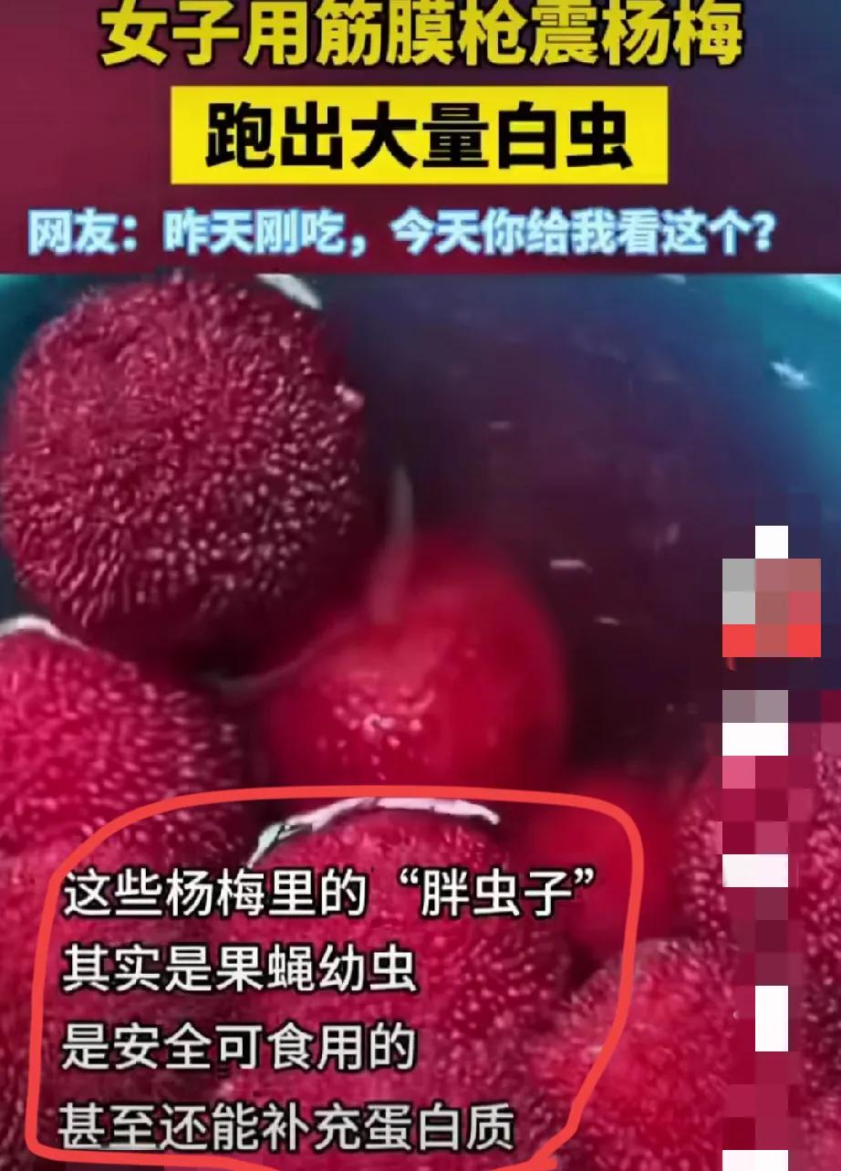 救命！筋膜枪震杨梅震出“虫虫开会”！这届专家的胃是不锈钢做的？刷到个女子用