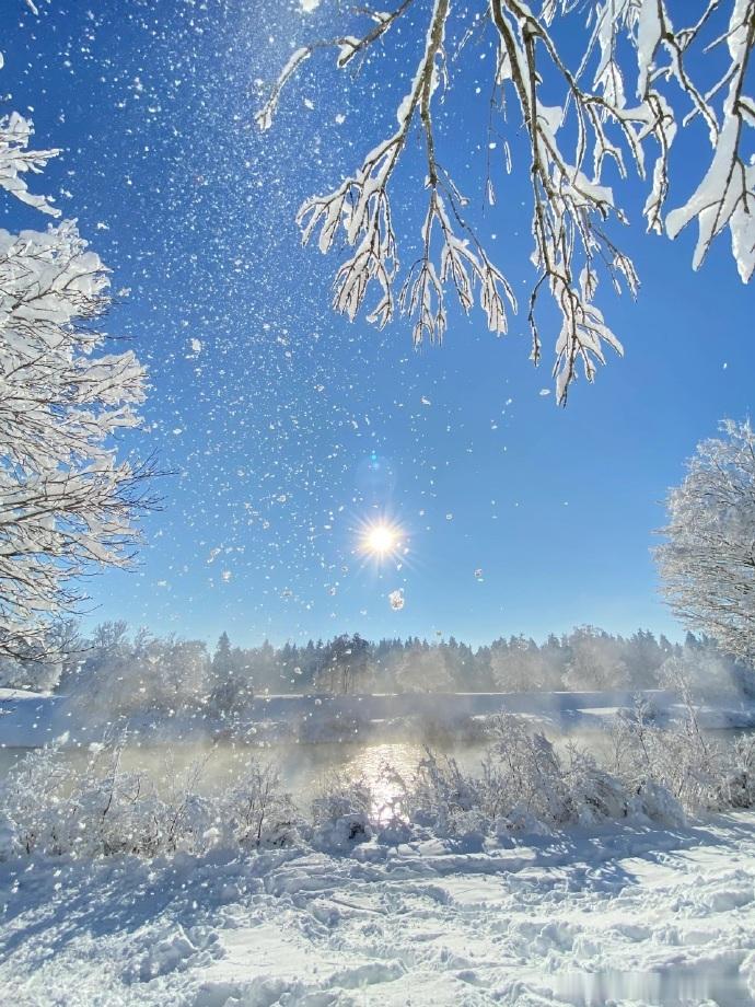 生肖鼠的晚年生活，在2026年迎来新的挑战！🐭作为1948年出生的生肖鼠，步入