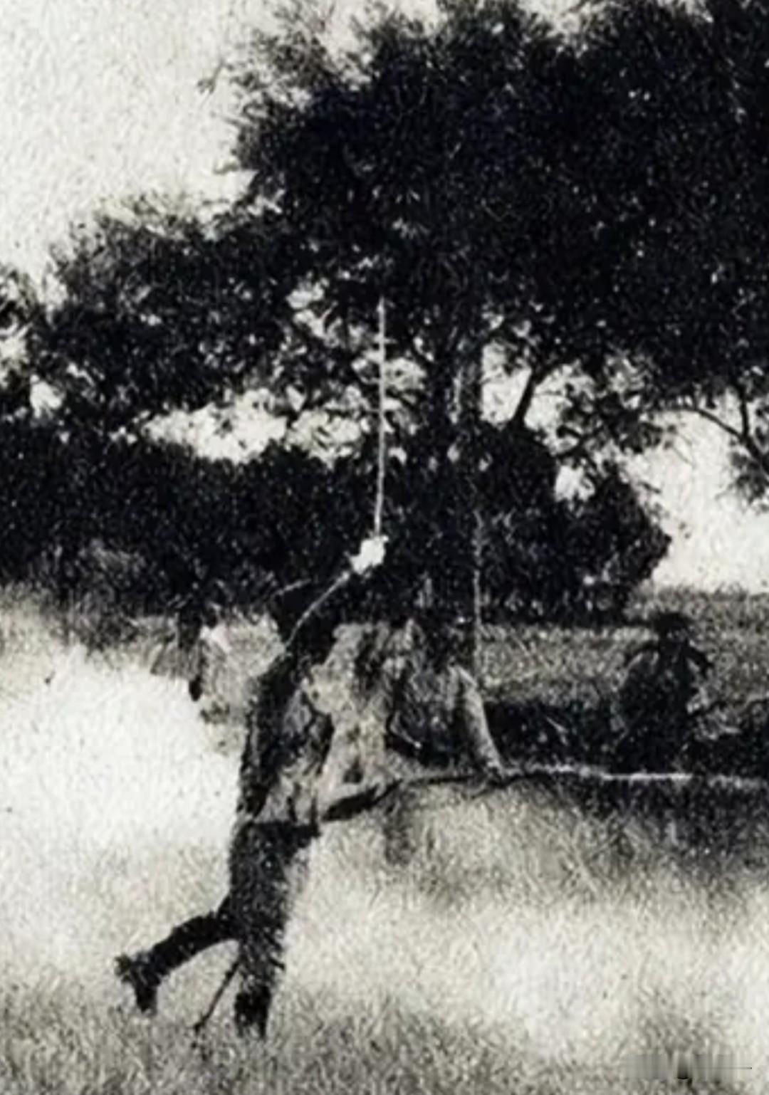 中华民国历史人物之第1450位，徐梁（1899一1977）字任之，辽宁辽阳人。