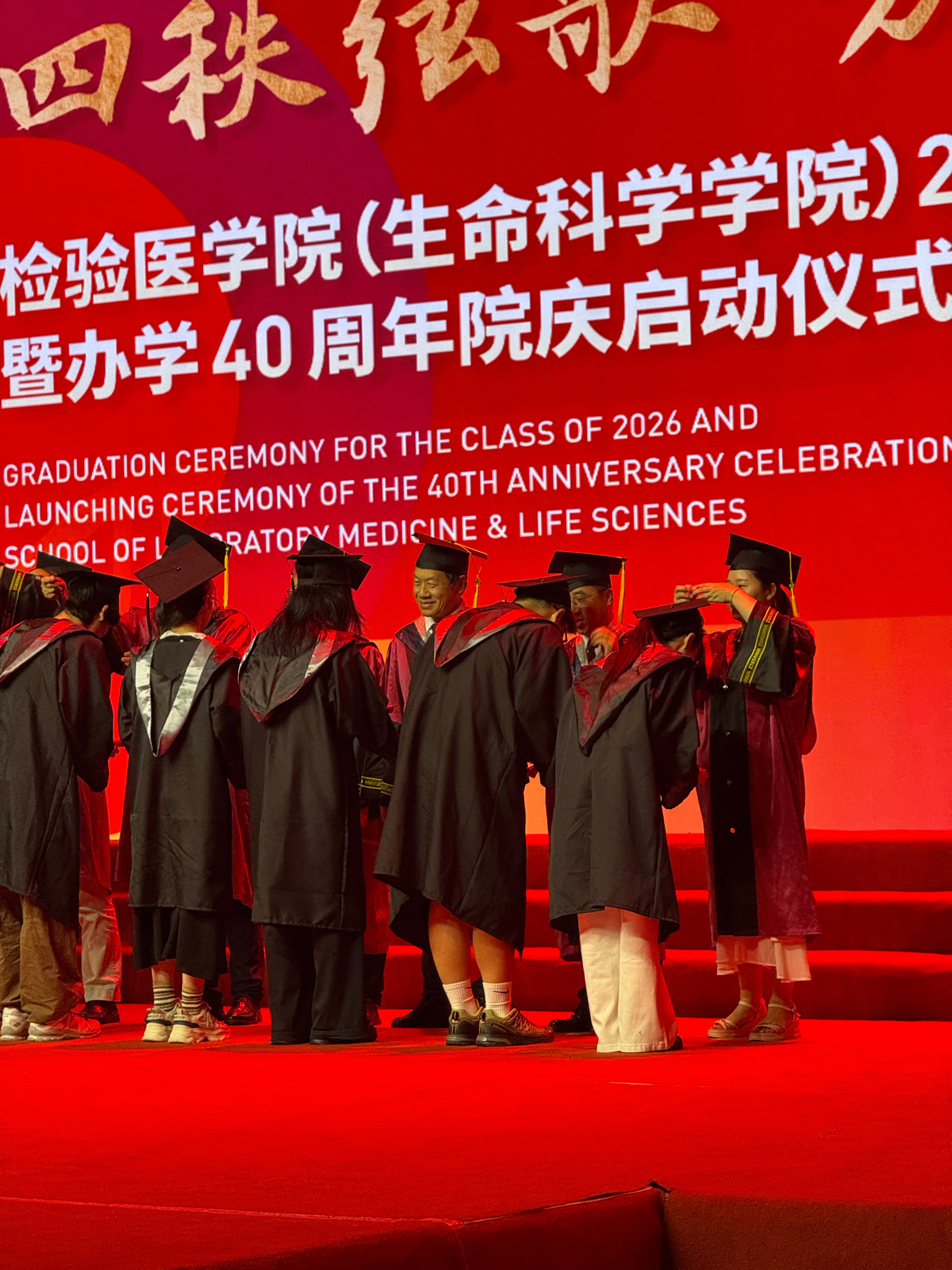 OK猪完全是猪怎么这么胖温州·温州医科大学