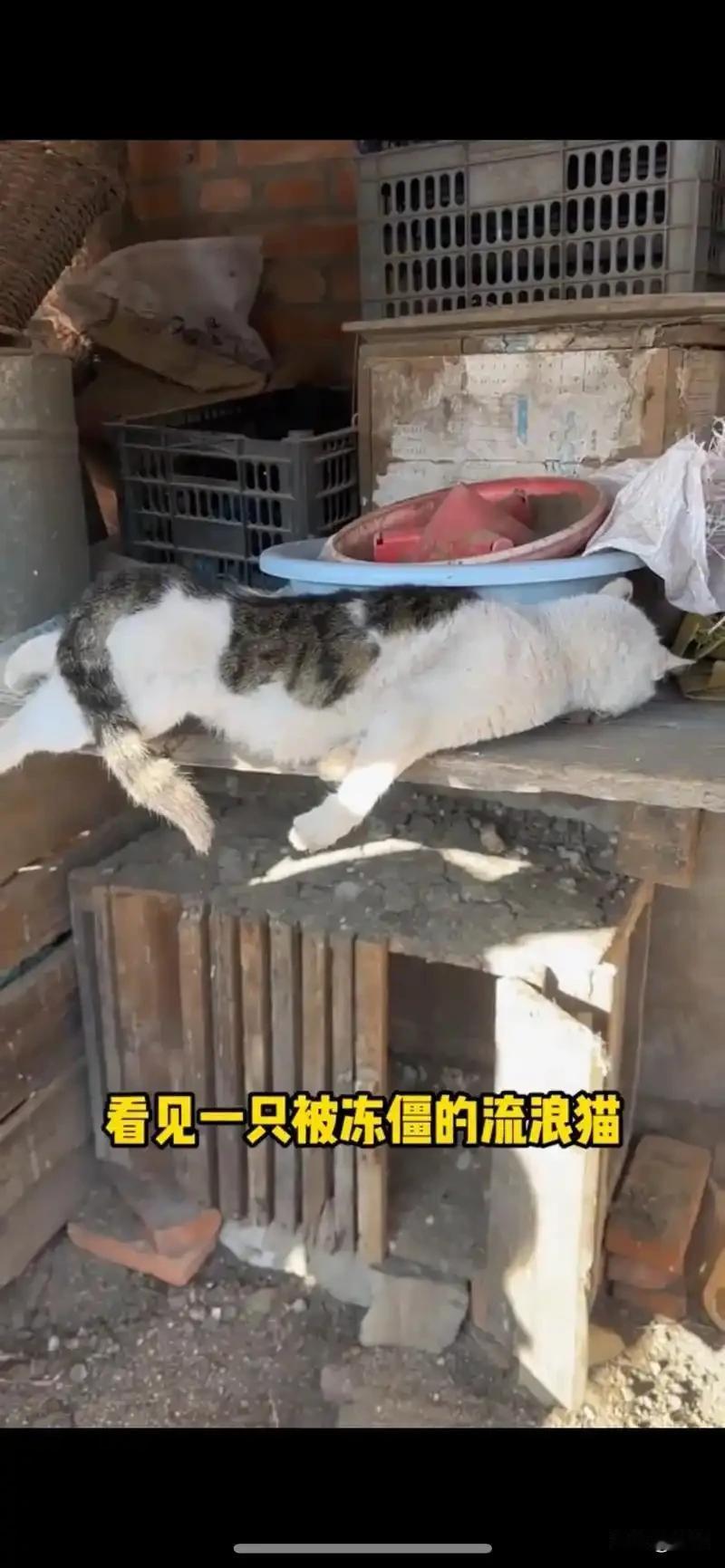 这天，一位小哥哥去帮忙整理老家的旧屋，由于天气寒冷，他还穿了大棉衣，可结果来到那