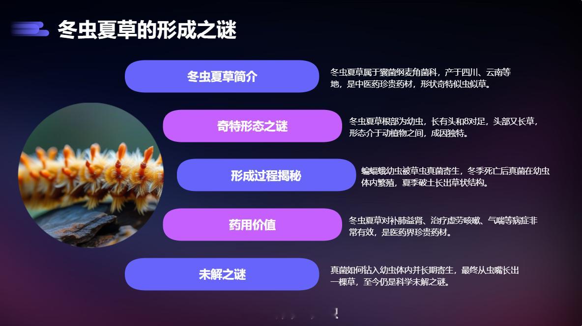 冬虫夏草之谜大千世界无奇不有，竟然有冬虫夏草这种植物，真是让人难以捉摸。冬虫夏草