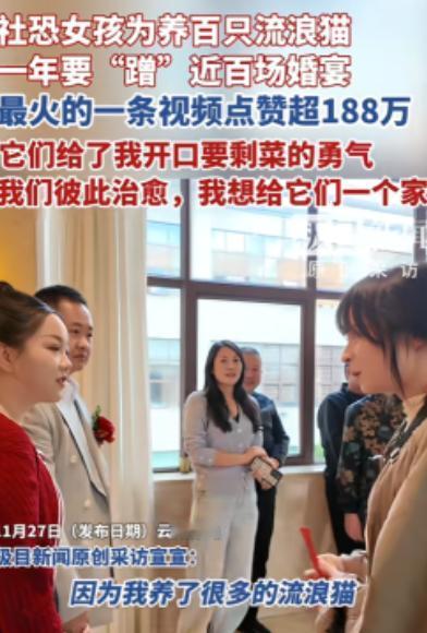 “看哭了！”云南保山，一女子为了养活收养的120多只流浪猫，一年内“蹭”了近百场