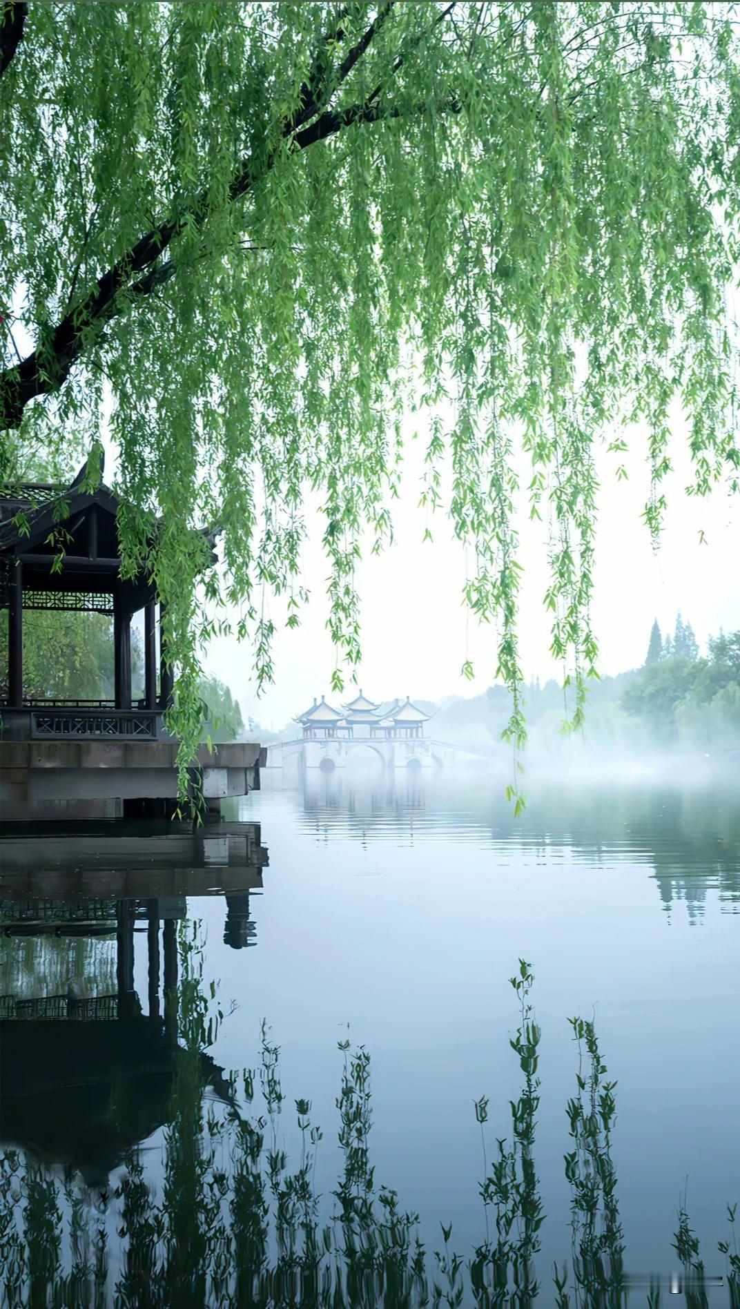 烟柳画桥，梦枕江南在时光的长卷里，江南总是那幅最柔美的水墨。晨雾似一