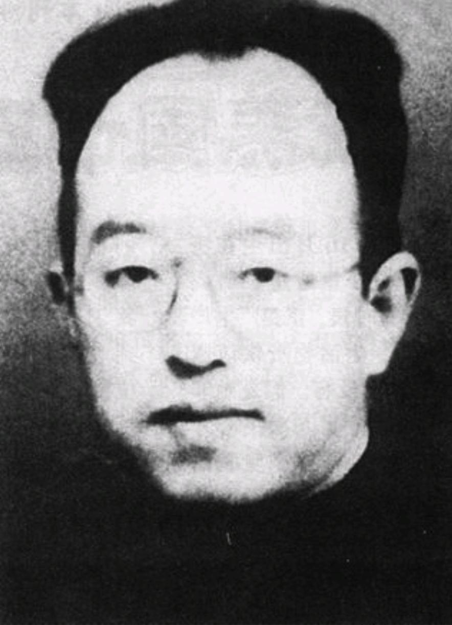 1938年，游击队计划攻打界首镇。此前情报称镇上仅七八个鬼子，自卫团主席张北华