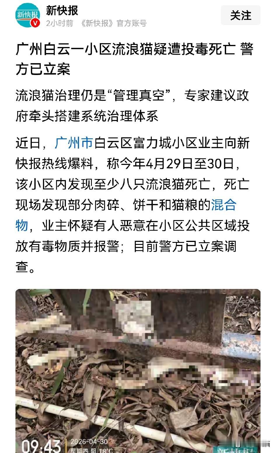 这是不是弄反了？其实应该查一查这些投喂人，到底是因为爱心才不断的在小区公园等公