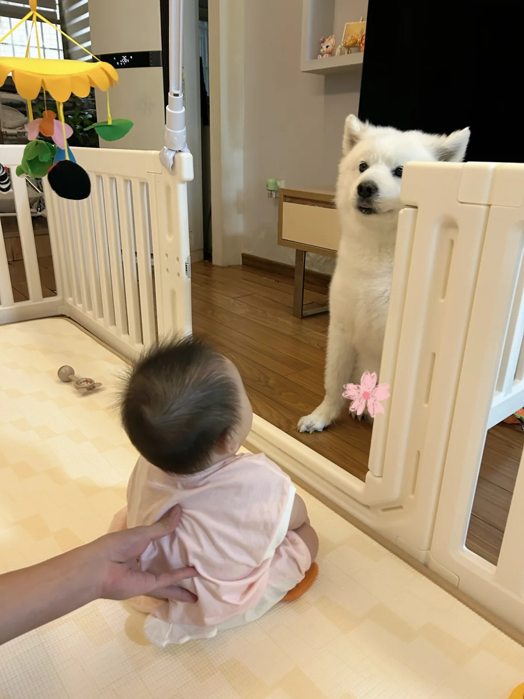 毛孩子和人类幼崽