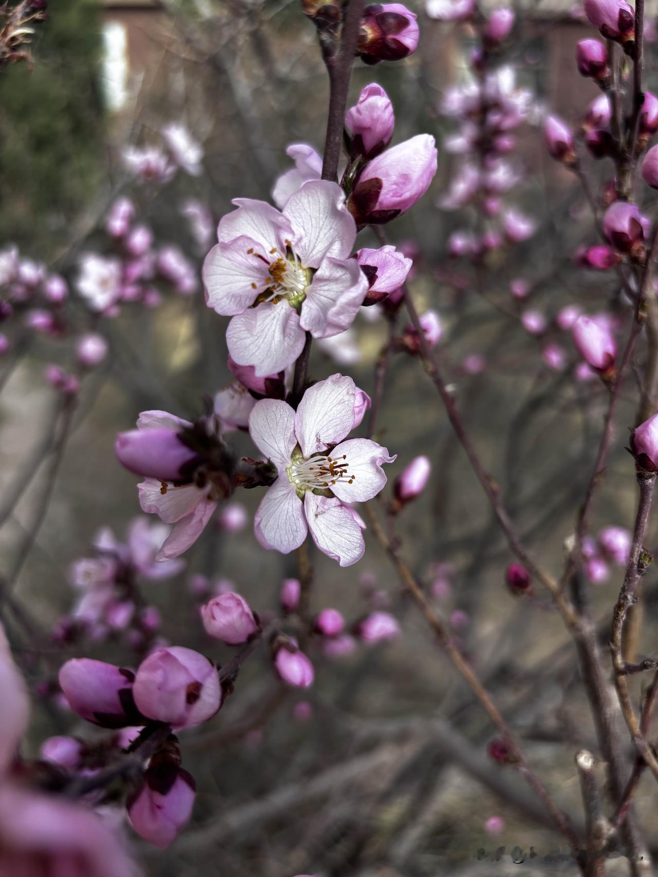 太吓人了，如果你平时不怎么运动，千万别突然去做大量剧烈运动，真的会出大事！昨天